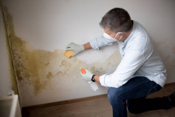 Best Air Quality Testing for Mold Spores  in Santa Clara, NM