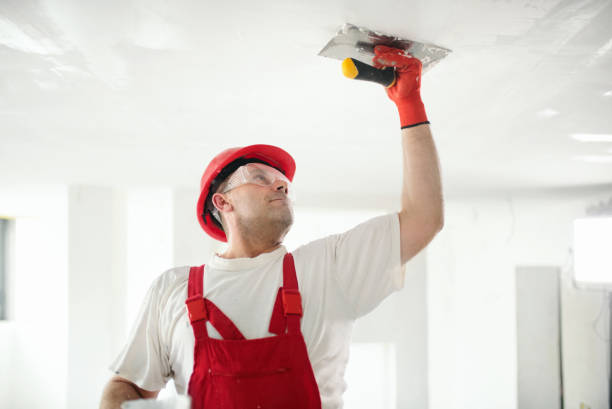 Asbestos and Lead Testing During Mold Inspection in Santa Clara, NM